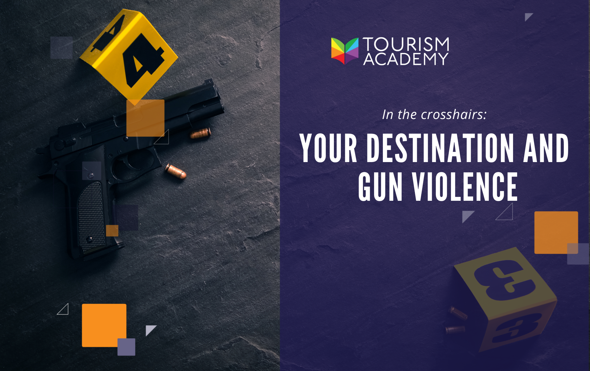 In the Crosshairs: Your Destination and Gun Violence