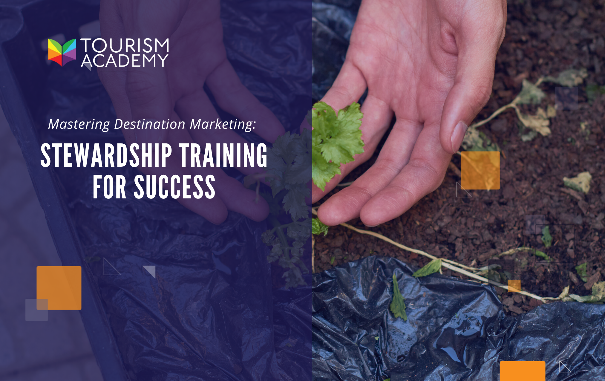 Mastering Destination Marketing: Stewardship Training for Success