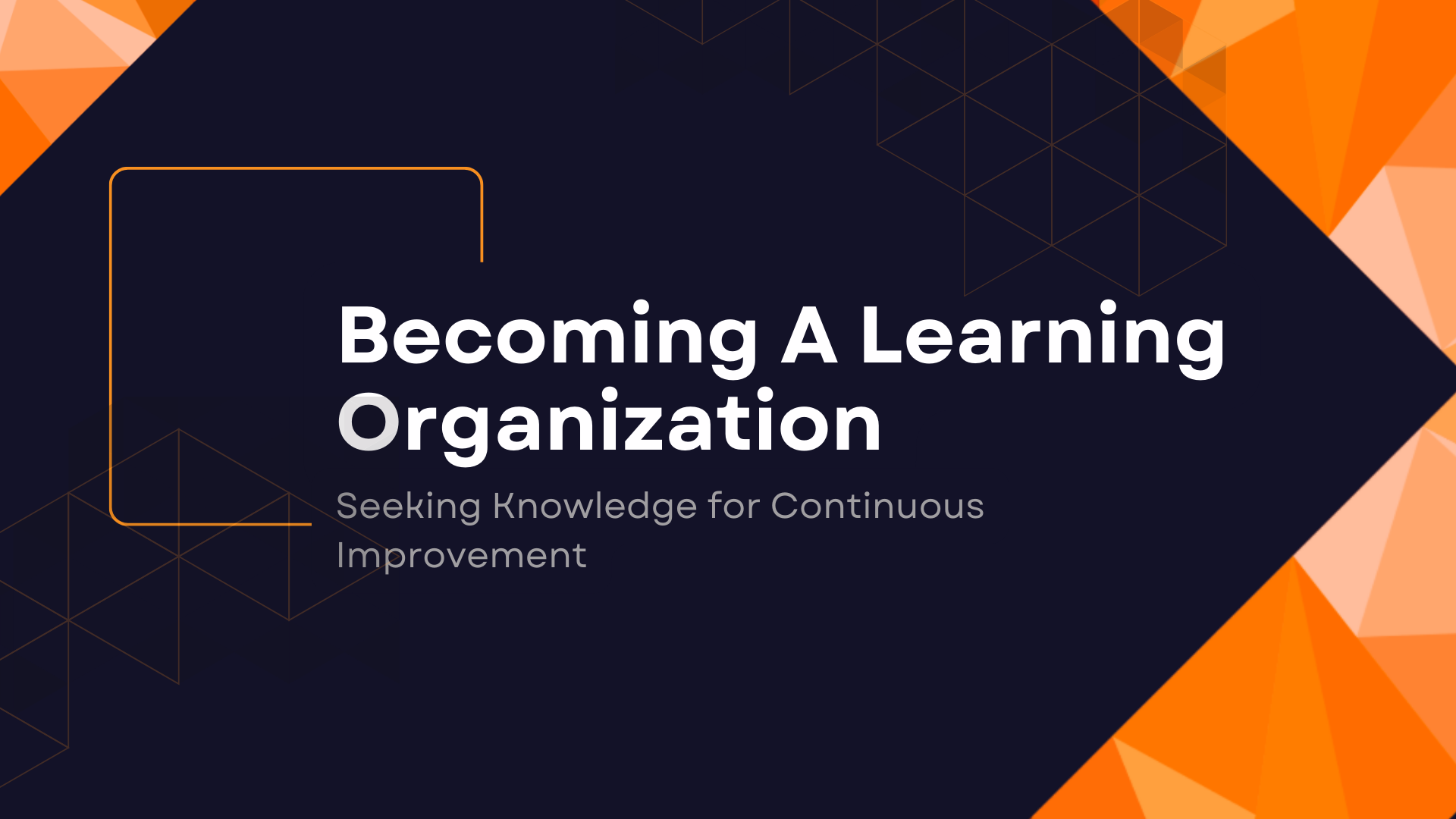 Becoming a Learning Organization: Seeking Knowledge for Continuous Improvement