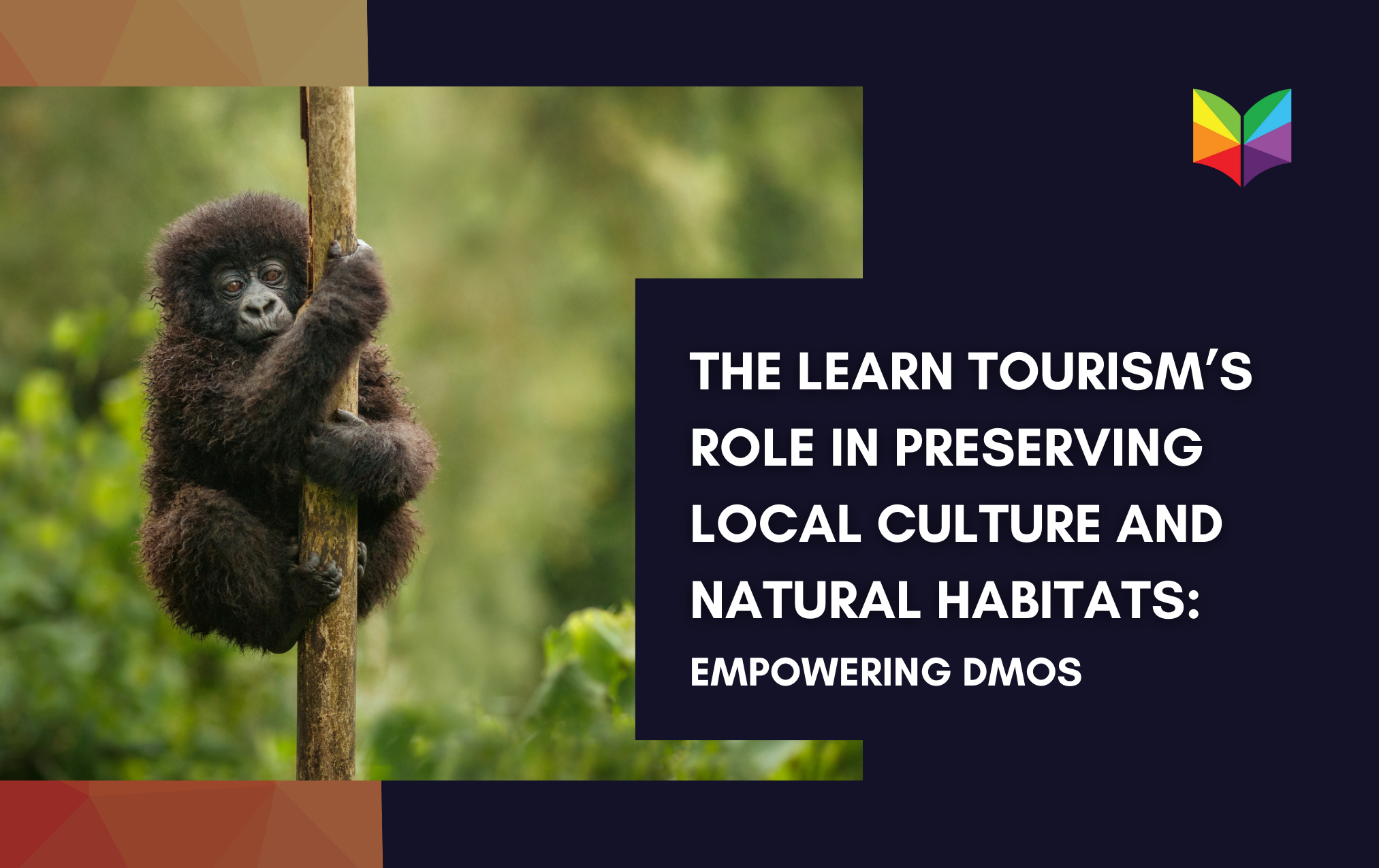 The Learn Tourism's Role in Preserving Local Culture and Natural Habitats: Empowering DMOs