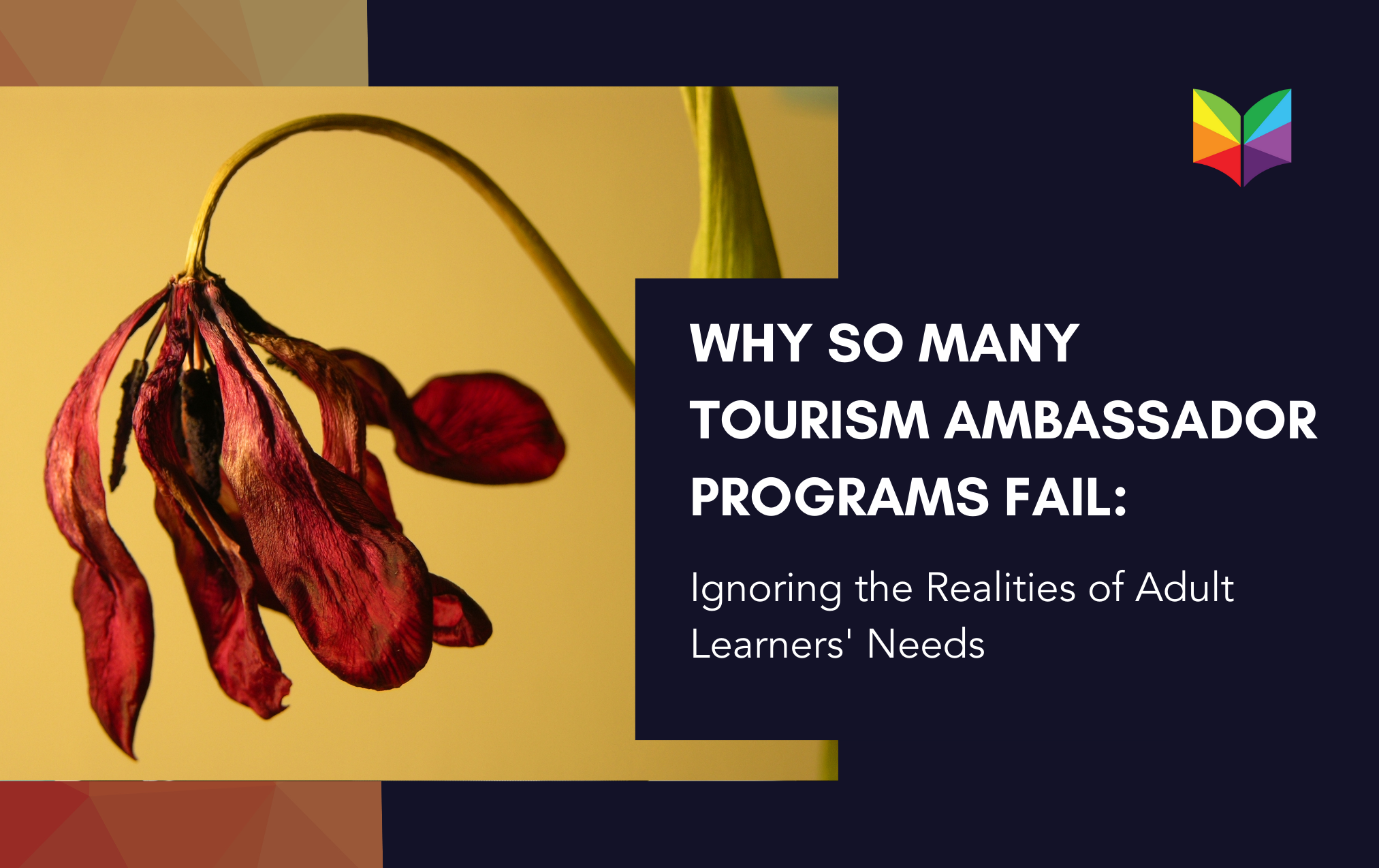 Why Many Tourism Ambassador Programs Fail: Ignoring the Realities of Adult Learners' Needs